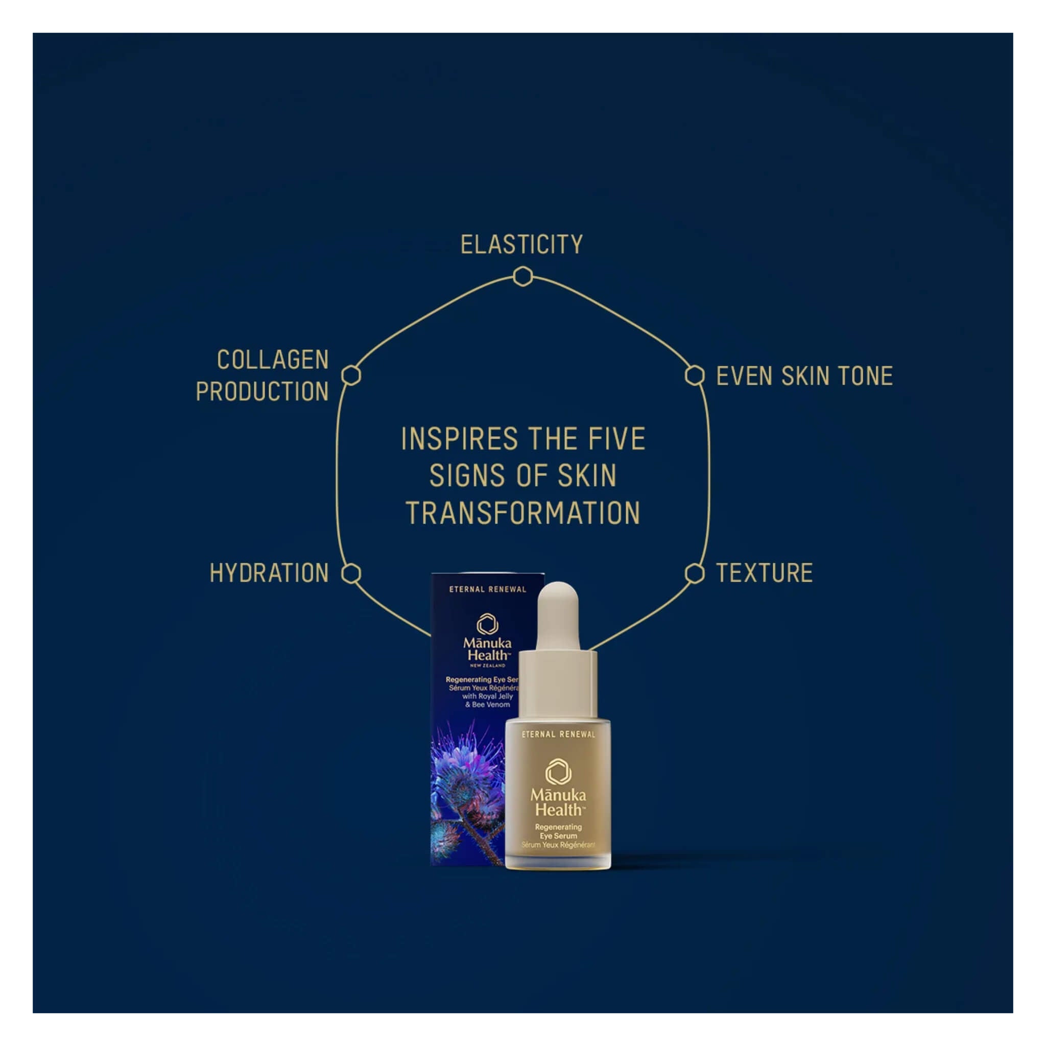 Eternal Renewal Anti-Aging Eye Serum for Dark Circles & Wrinkles - Hydrating Under Eye Treatment for Puffiness, Fine Lines - Perfect for Night Routine & Morning Skincare Regimen