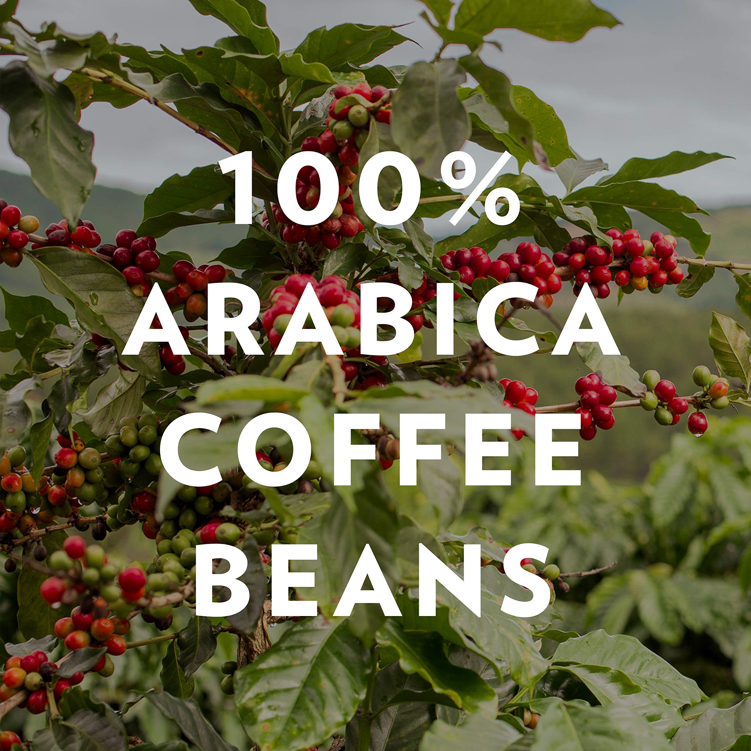 Community Coffee 100% Colombian Medium Dark Roast Ground Coffee - 72oz (Pack of 6 x 12oz) | Premium Arabica Beans for Rich Flavor | Perfect for Home Brewing, Office Use & Gifts