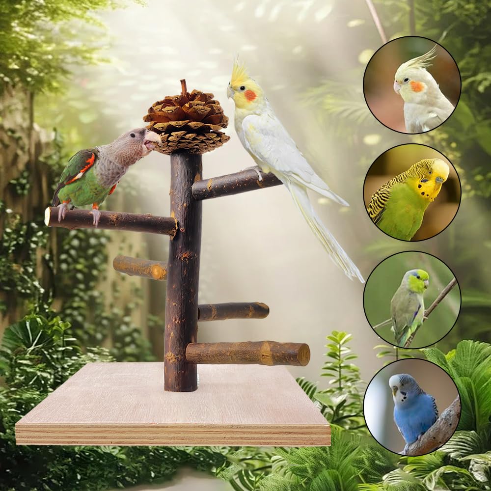 Portable Bird Perch Stand for Parrots - Tabletop Play & Training Perch for Parakeets, Conures, Lovebirds, Cockatiels | Perfect for Bird Cages, Grooming & Playtime at Home