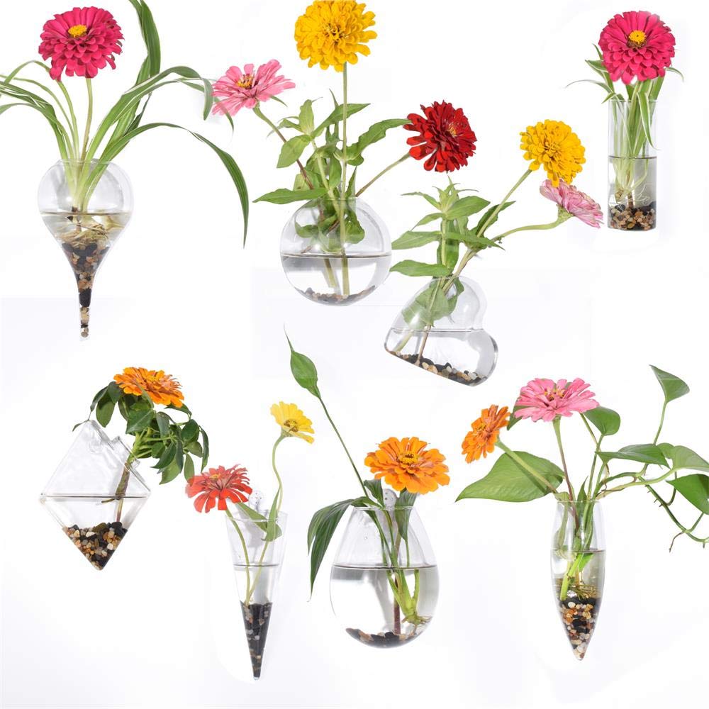 Geometric Glass Wall Hanging Planters - Set of 8 Air Plant Holders, Flower Vases & Terrariums for Indoor Succulents, Herbs & Home Decor - Perfect for Living Room, Office & Balcony