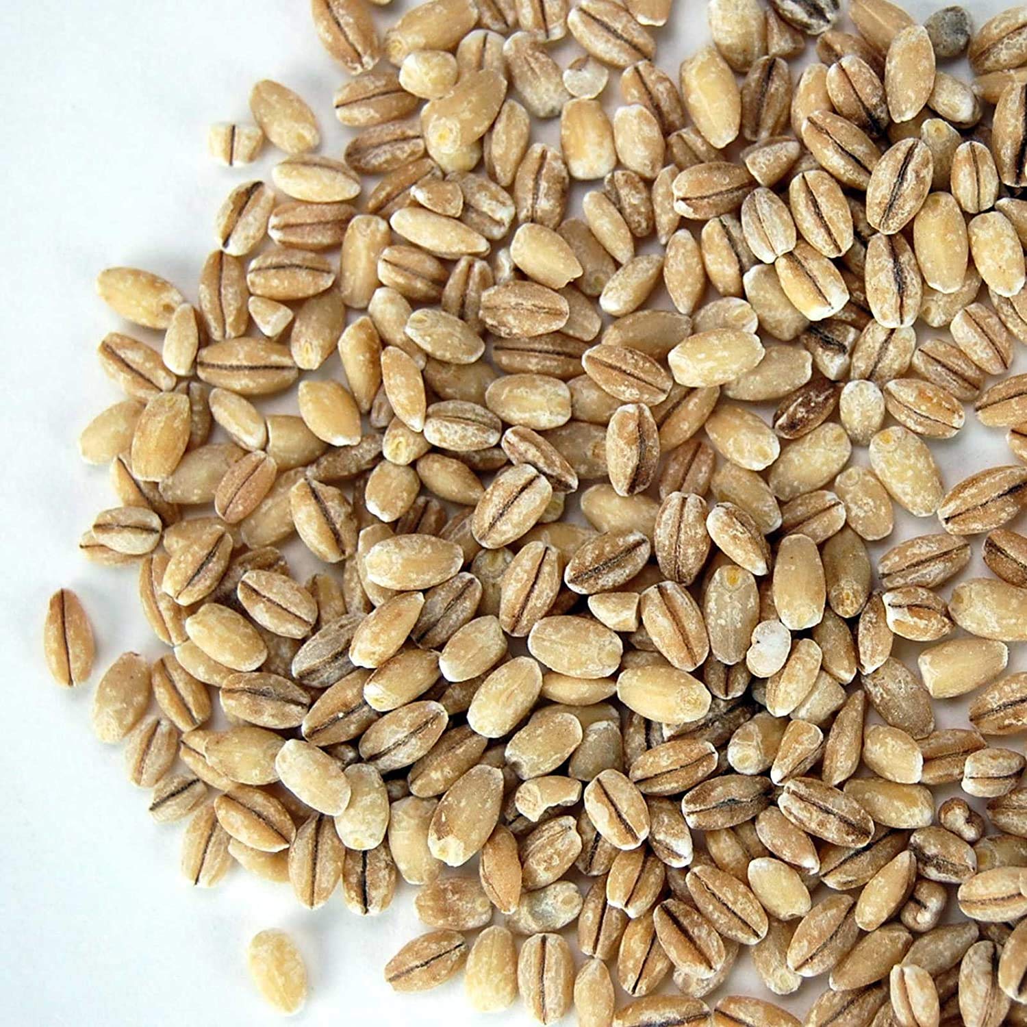 Organic Pearled Barley (Hulled) - 30 Lb Bulk Bag with Resealable Lid - Premium Barley Grains for Baking, Brewing, Cooking & Food Storage | Perfect for Homemade Bread, Beer Making & Emergency Preparedness