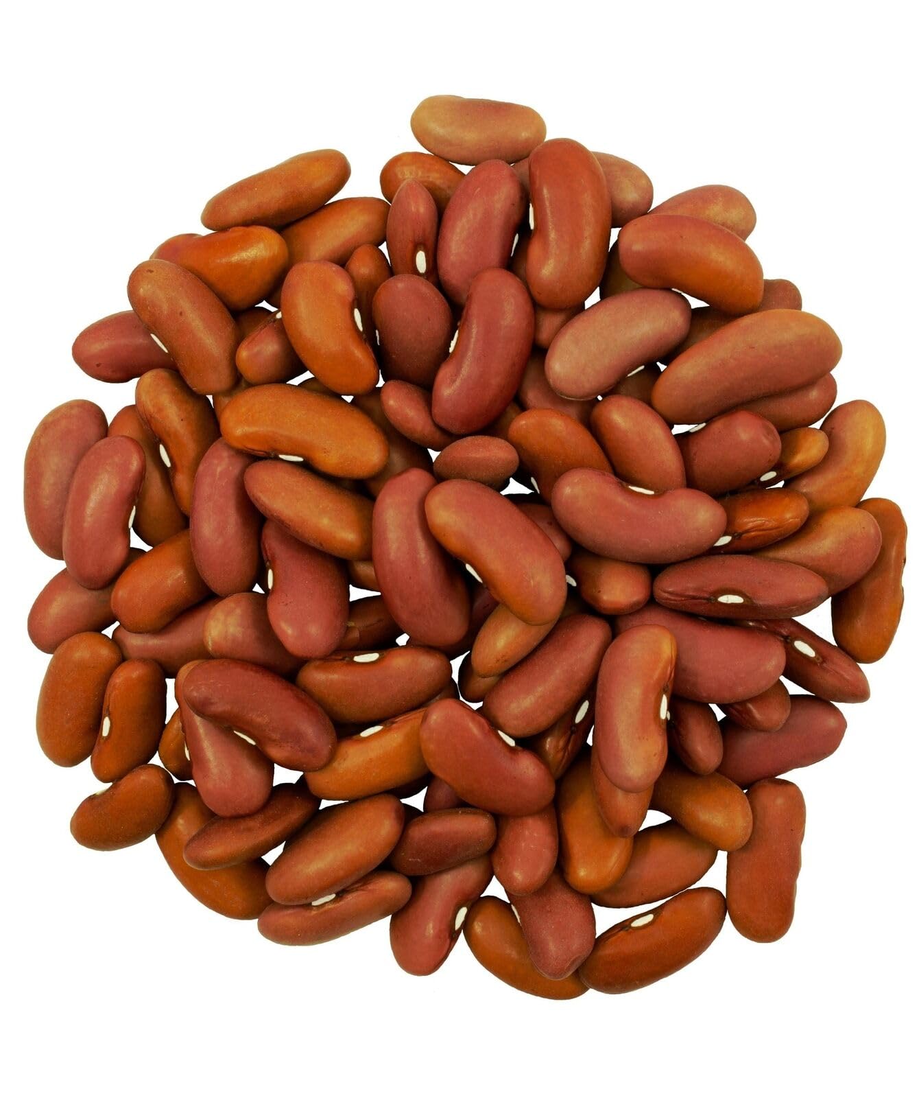 Organic Non-GMO Kosher Vegan Kidney Beans | Glyphosate-Residue Free | 25 lbs Bulk Emergency Food Supply | Grown in Washington | Perfect for Prepping, Camping & Long-Term Storage