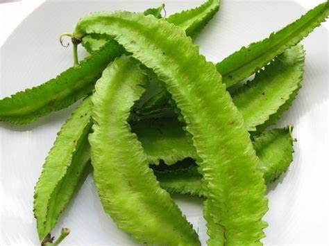 20+ Winged Bean Seeds - Non-GMO Heirloom Dragon Goa Asparagus (Sigarilyas/Chathura Payar) for Home Gardening & Asian Cuisine