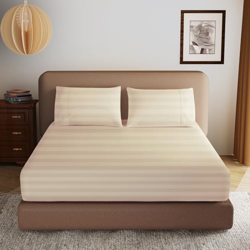 Beige-stripe