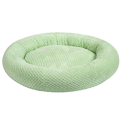 Pastel Green