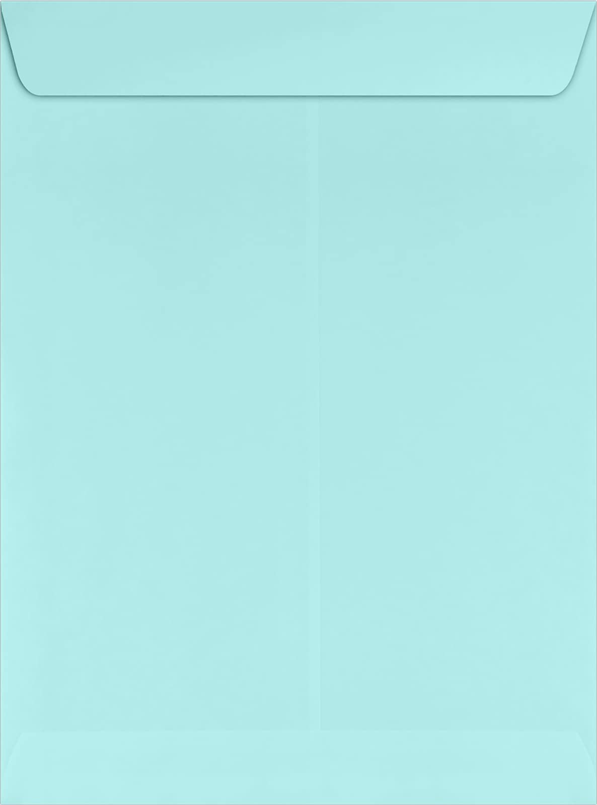 LUXPaper 9 x 12 Open End Envelopes | Self Seal Peel & Press Envelopes | 80lb Text Weight | 1000 Pack | Seafoam Blue | Perfect for Business Mail, Wedding Invitations & Office Correspondence