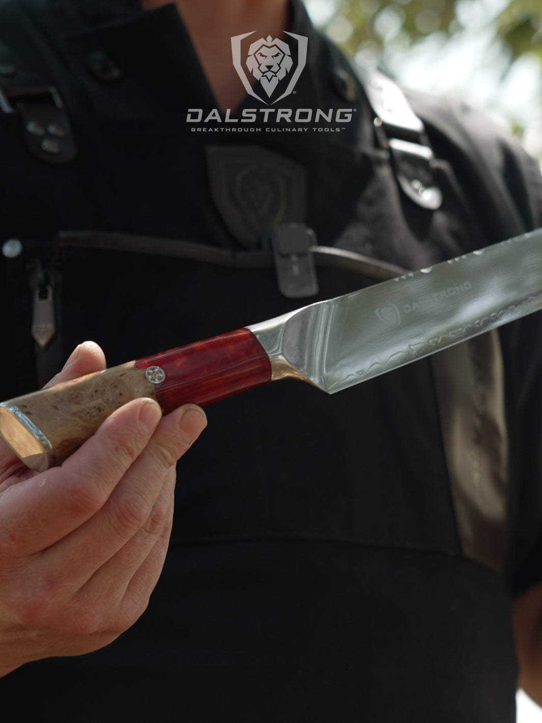 Dalstrong Valhalla Series 12