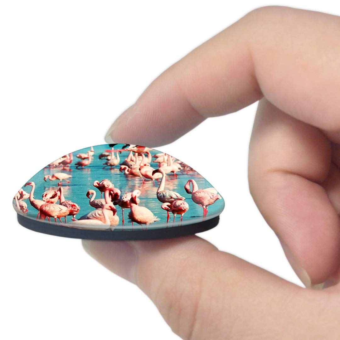 Kenya Pink Flamingo Lake Nakuru 3D Fridge Magnet - Crystal Glass Whiteboard Refrigerator Magnet Souvenir Gift for Travel Lovers, Home & Office Decoration