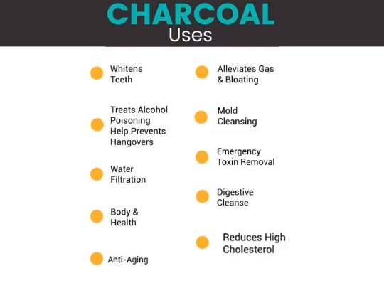 GODSOWNCOUNTRYIN Natural Activated Charcoal Powder - 50g Organic Skin & Teeth Whitening Treatment for Glowing Skin, Blackhead Removal & Detox | Face Mask, Toothpaste & Beauty Care Solution