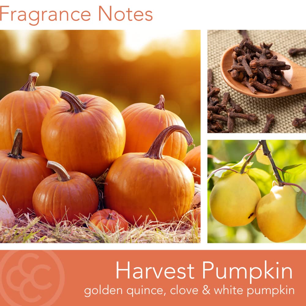 Colonial Candle Harvest Pumpkin Scented Jar Candle - Classic Cylinders Collection, 2-Wick, 19oz Orange Candle with 120-Hour Burn Time | Fall Home Decor, Thanksgiving Centerpiece, Cozy Autumn Ambiance