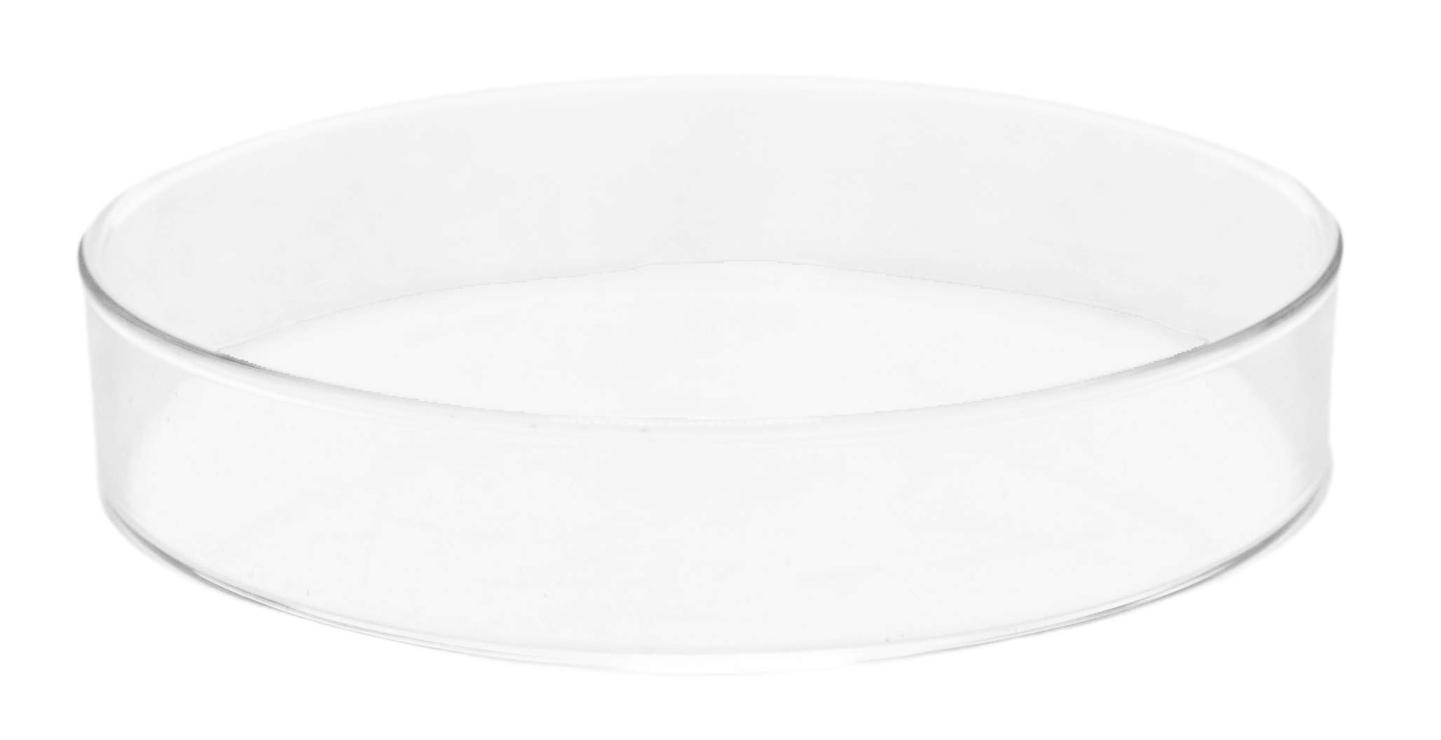 EISCO 90 x 15mm Soda Glass Petri Dish - Lab-Grade for Bacteria Culture, Science Experiments & Classroom Use