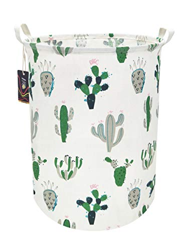 Green and Gray Cactus