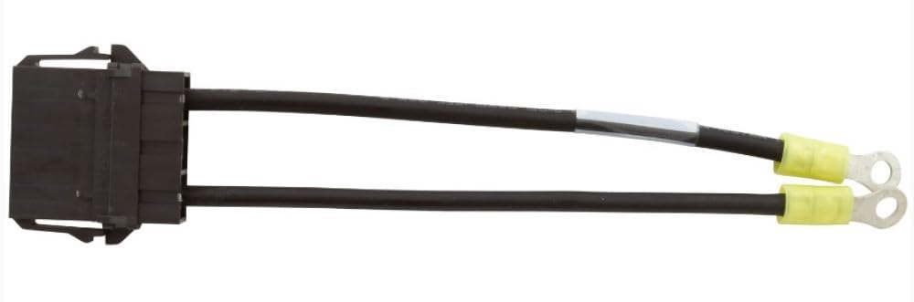 Balboa Water Group 25696 Heater Molex GS/GL 6