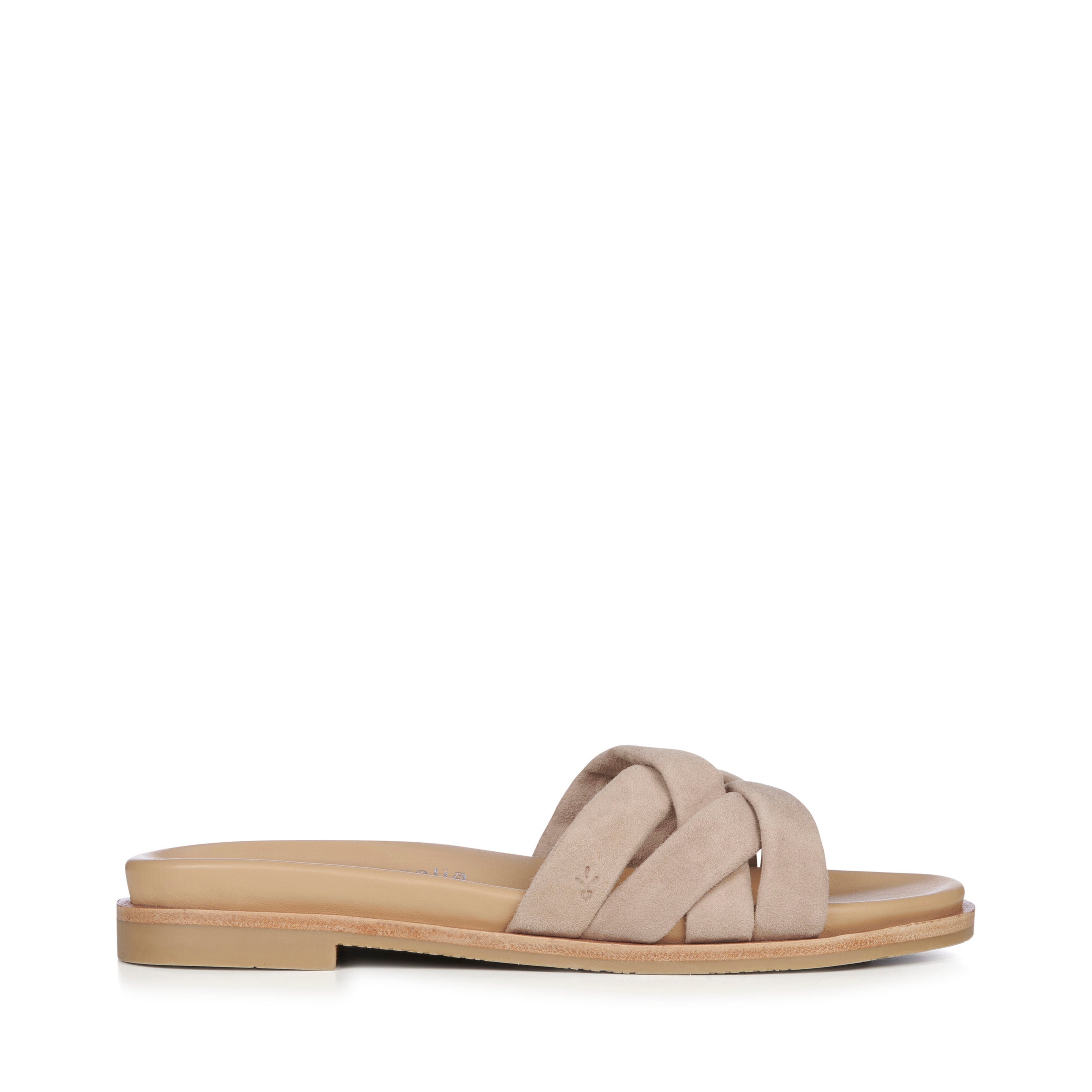 camel