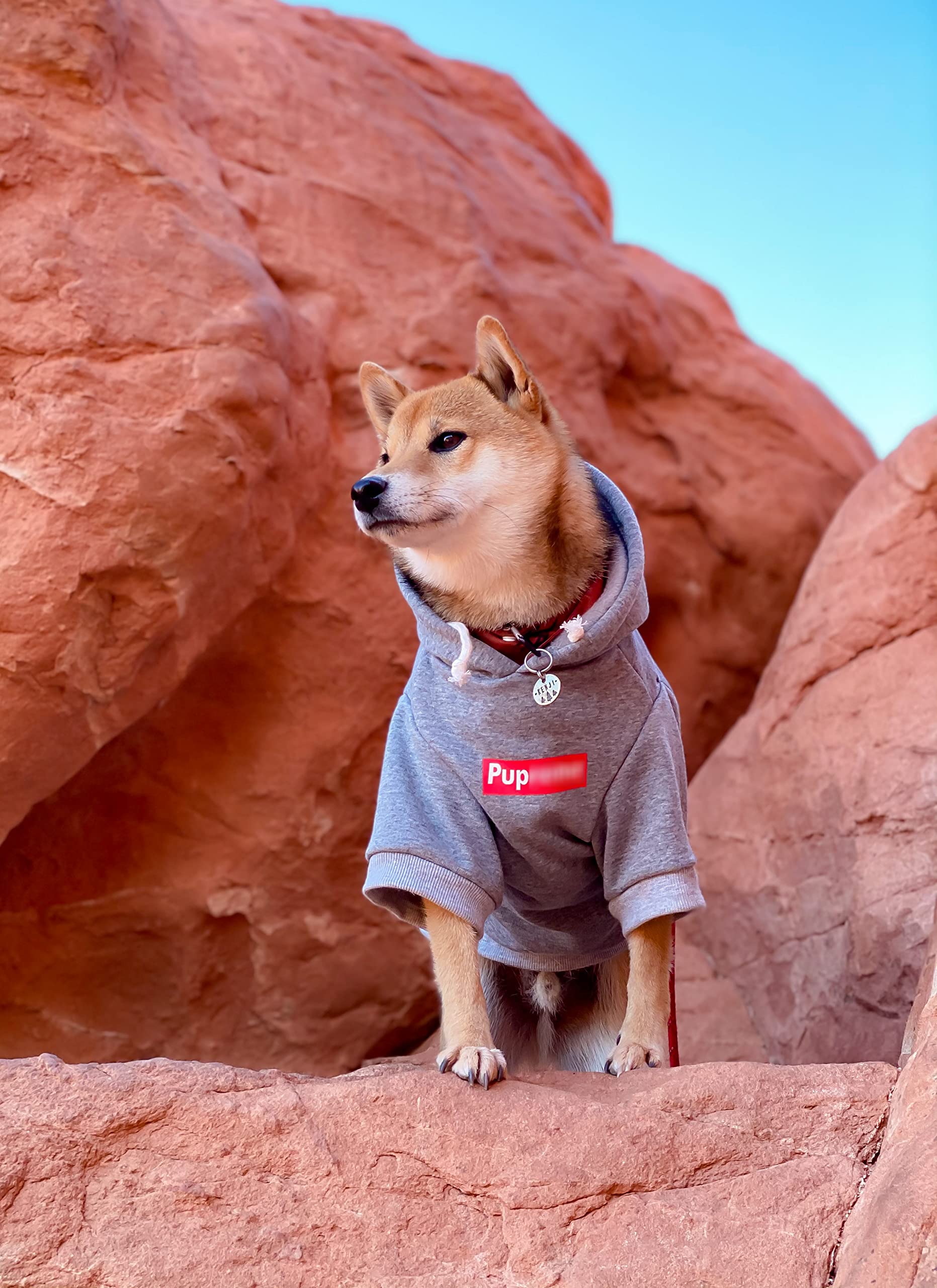 ChoChoCho Pup Dog Hoodie - Stylish Cotton Pet Sweater for Small, Medium, Large Dogs & Cats (4XL) - Cozy Streetwear Outfit for Winter Walks & Indoor Comfort
