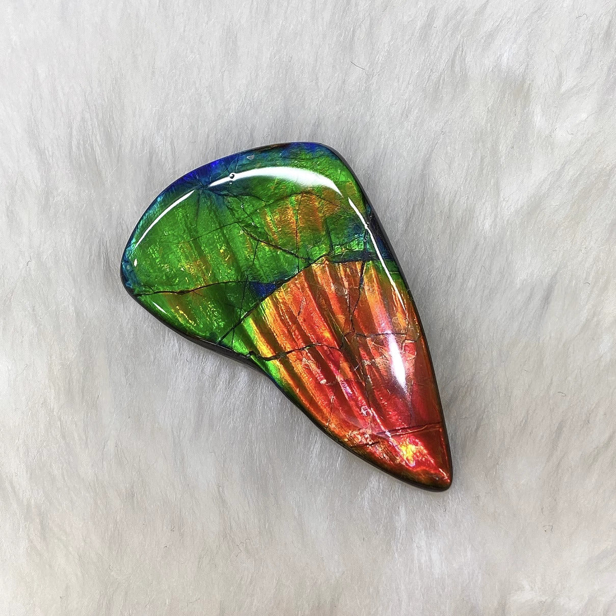 Natural Freeform Ammolite Gemstone FNA22029 - Unique Iridescent Jewelry for Collectors & Healing Crystals Enthusiasts | Perfect for Meditation, Energy Work & Spiritual Gifts