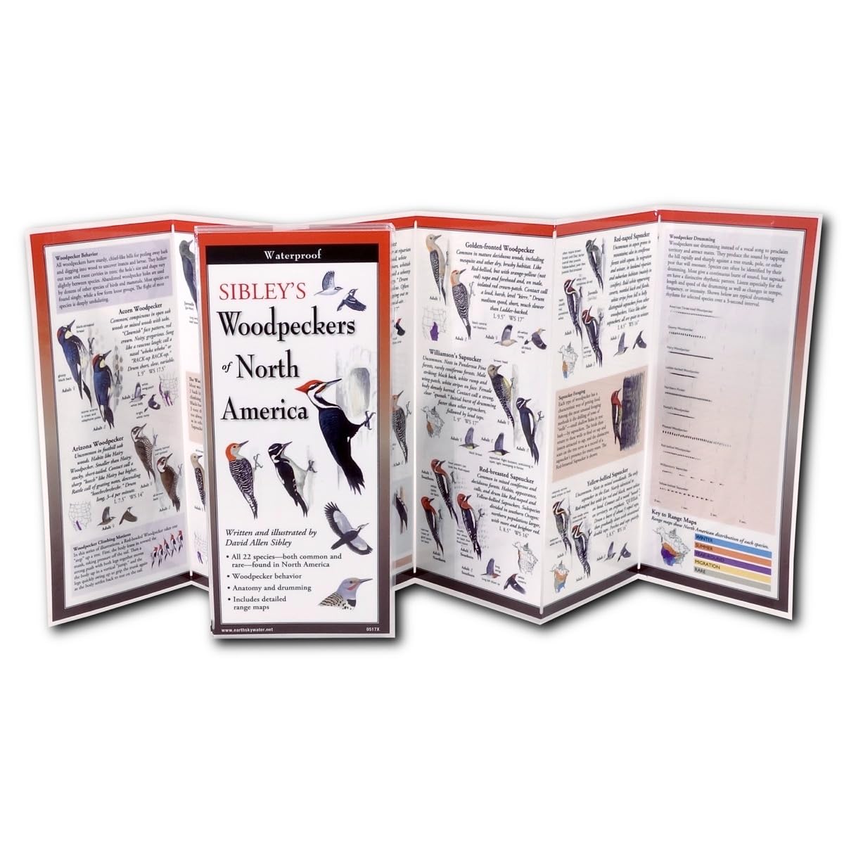 Sibley's Woodpeckers of North America Field Guide - Folding Pocket Bird Identification Book for Birdwatching & Outdoor Adventures