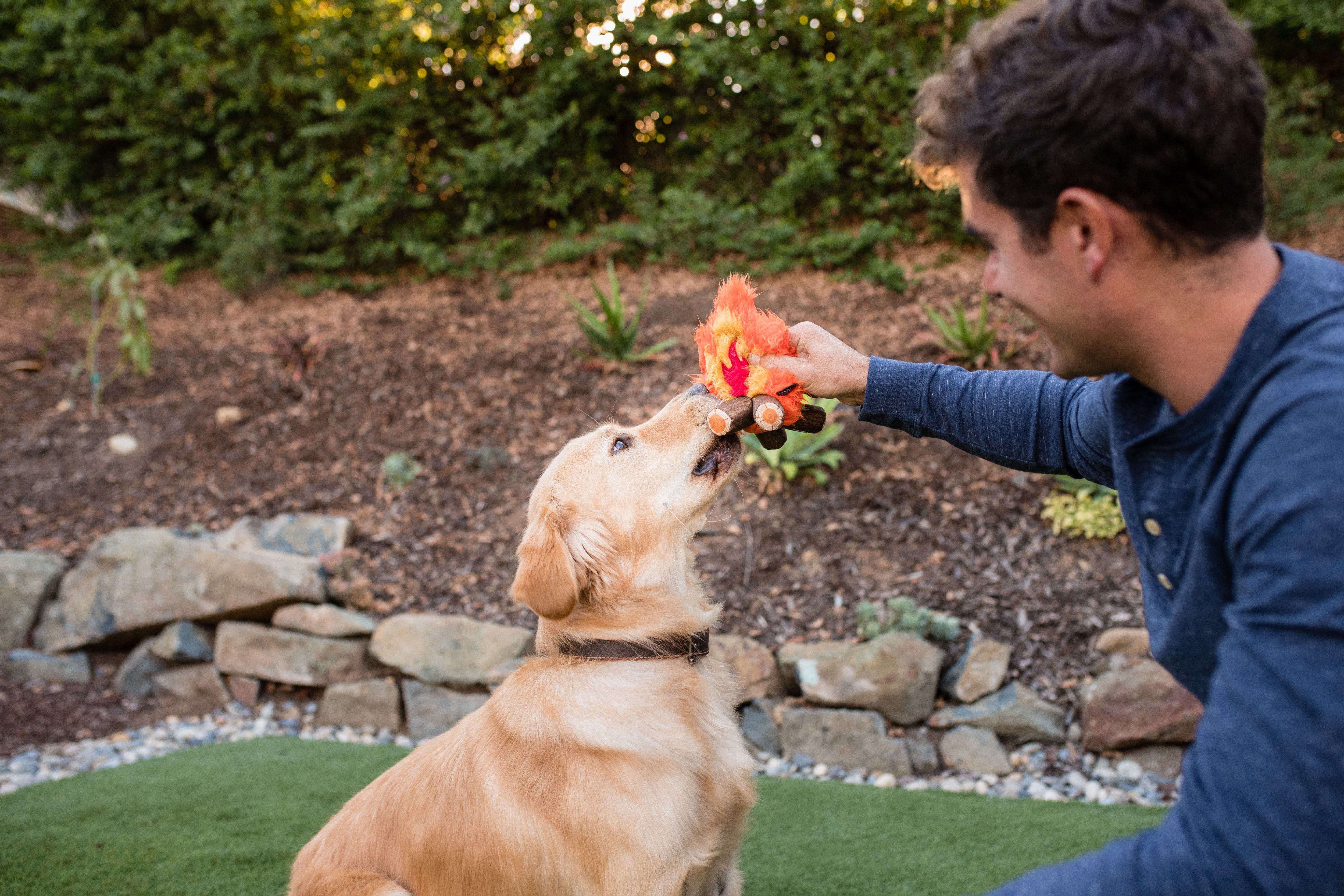 La Fogata Dog Chew Toy - Camp Corbin™ Plush Squeaky Chew Toy for Dogs | Pet P.L.A.Y. | Perfect for Playtime, Training & Outdoor Adventures