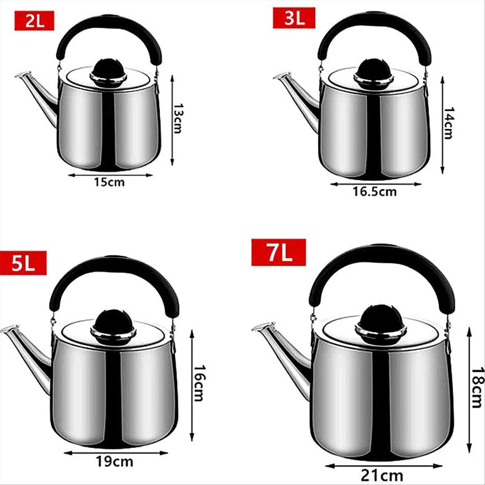 Stainless Steel Portable Induction Kettle for Tea, Coffee & Juice - Works on Induction Cooktops, Gas Stoves & Camping - Perfect for Home, Office & Outdoor Adventures