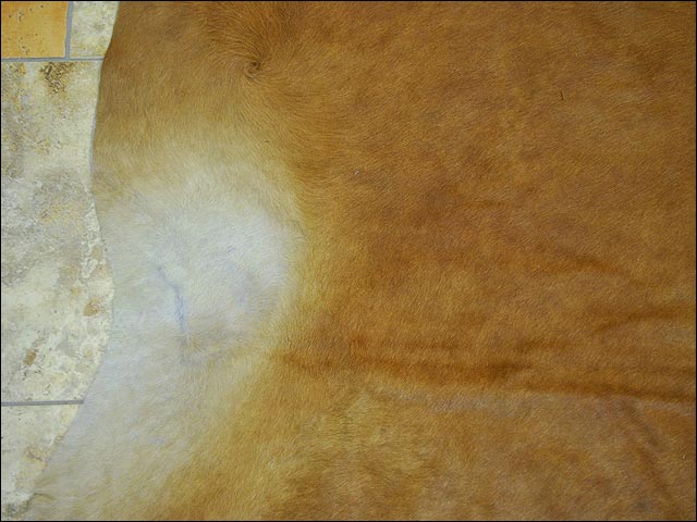 8 Ft X 7 Ft Premium Brazilian Cowhide Rug - Natural Hair-On Leather Area Carpet for Living Room, Bedroom & Office Decor - Durable & Stylish Home Floor Covering