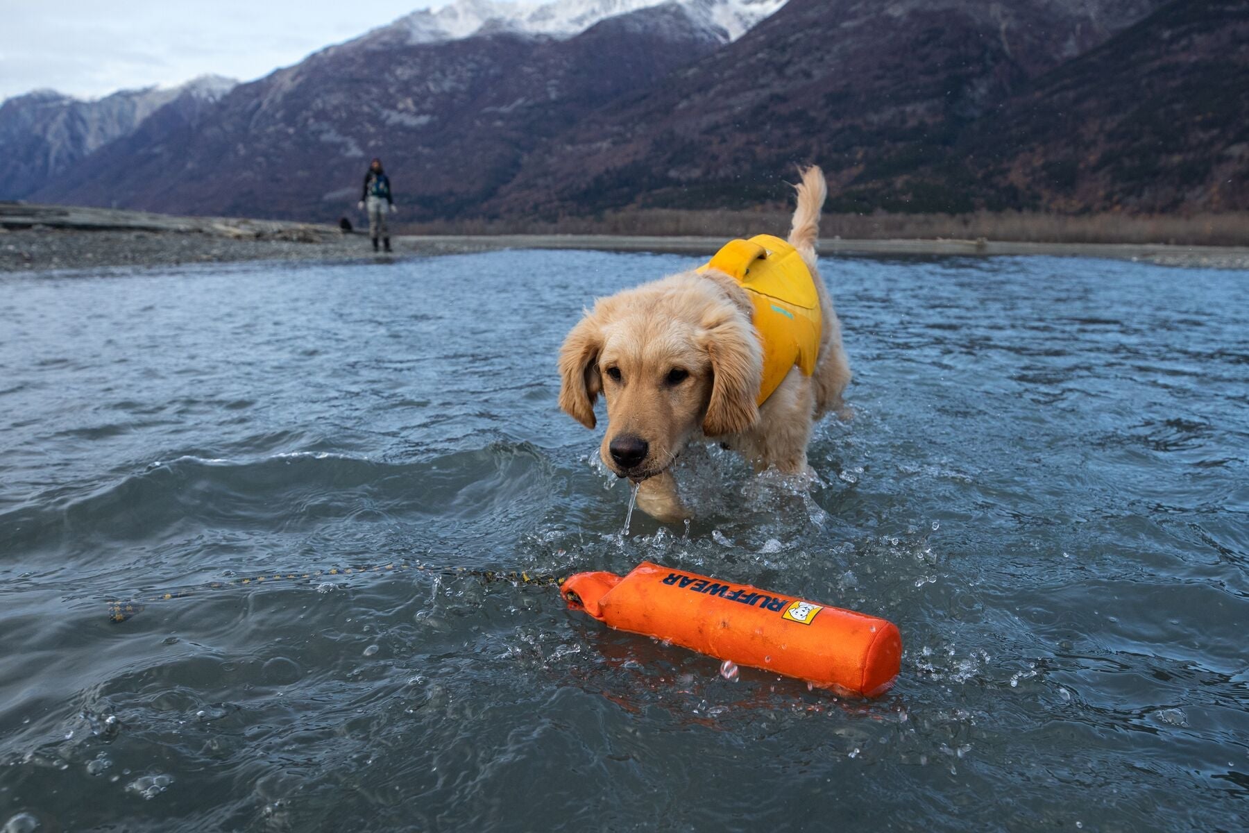 Lunker® Biolumin Blue - Glow in The Dark Foam Water Toy for Dogs | Floating Chew Toy for Pool, Beach & Outdoor Play | Durable & Safe for Pets