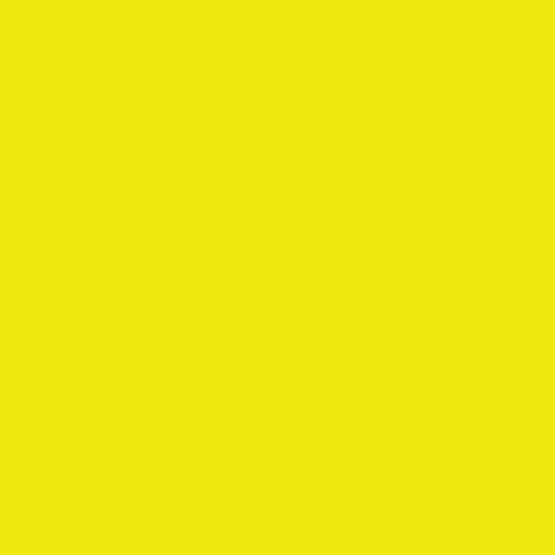 Cyber Yellow-puma Black