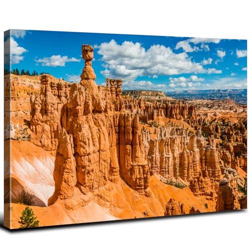 Bryce canyon