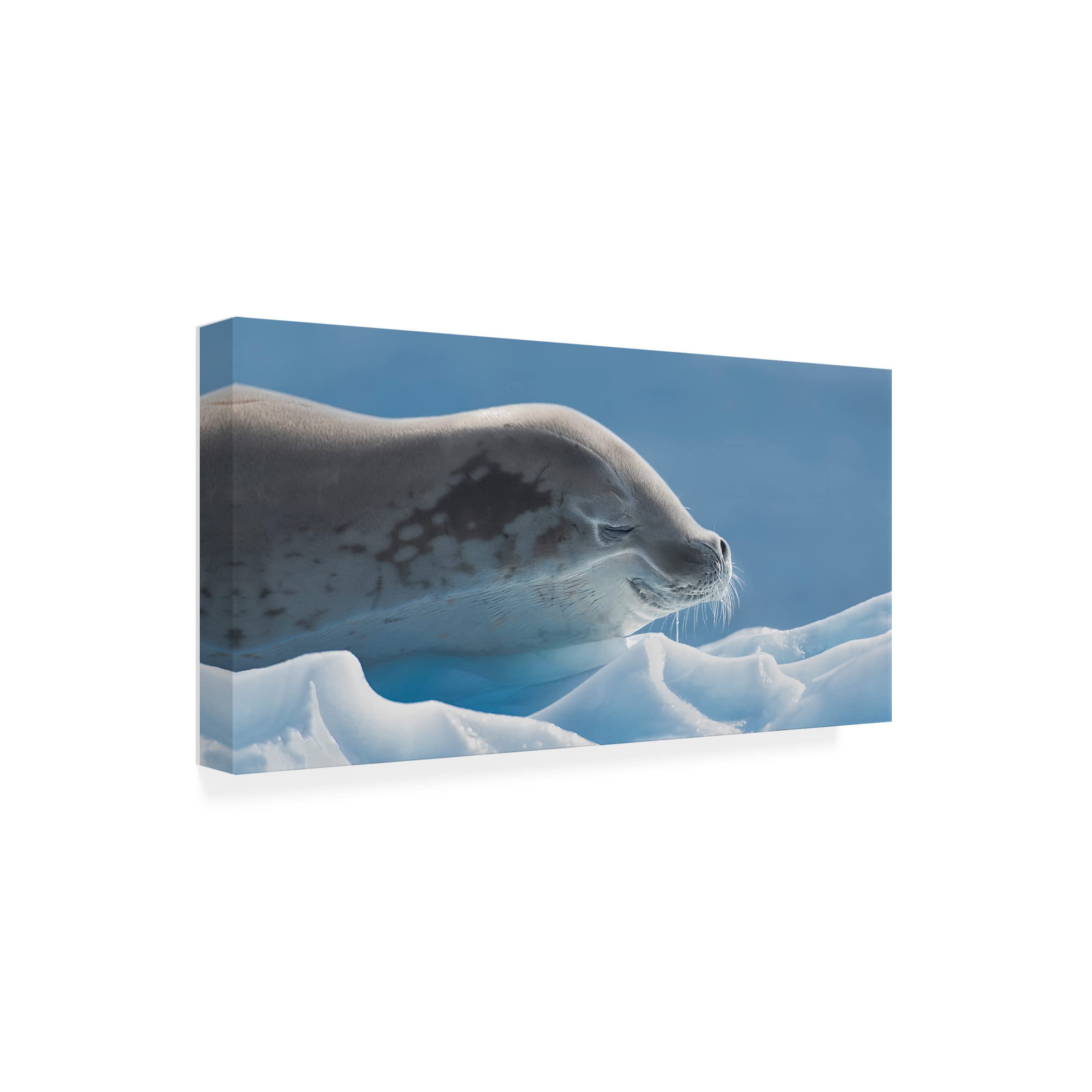 Trademark Fine Art 'Peaceful' Canvas Wall Art by Yun Wang - Serene Landscape Painting for Living Room, Bedroom & Office Decor