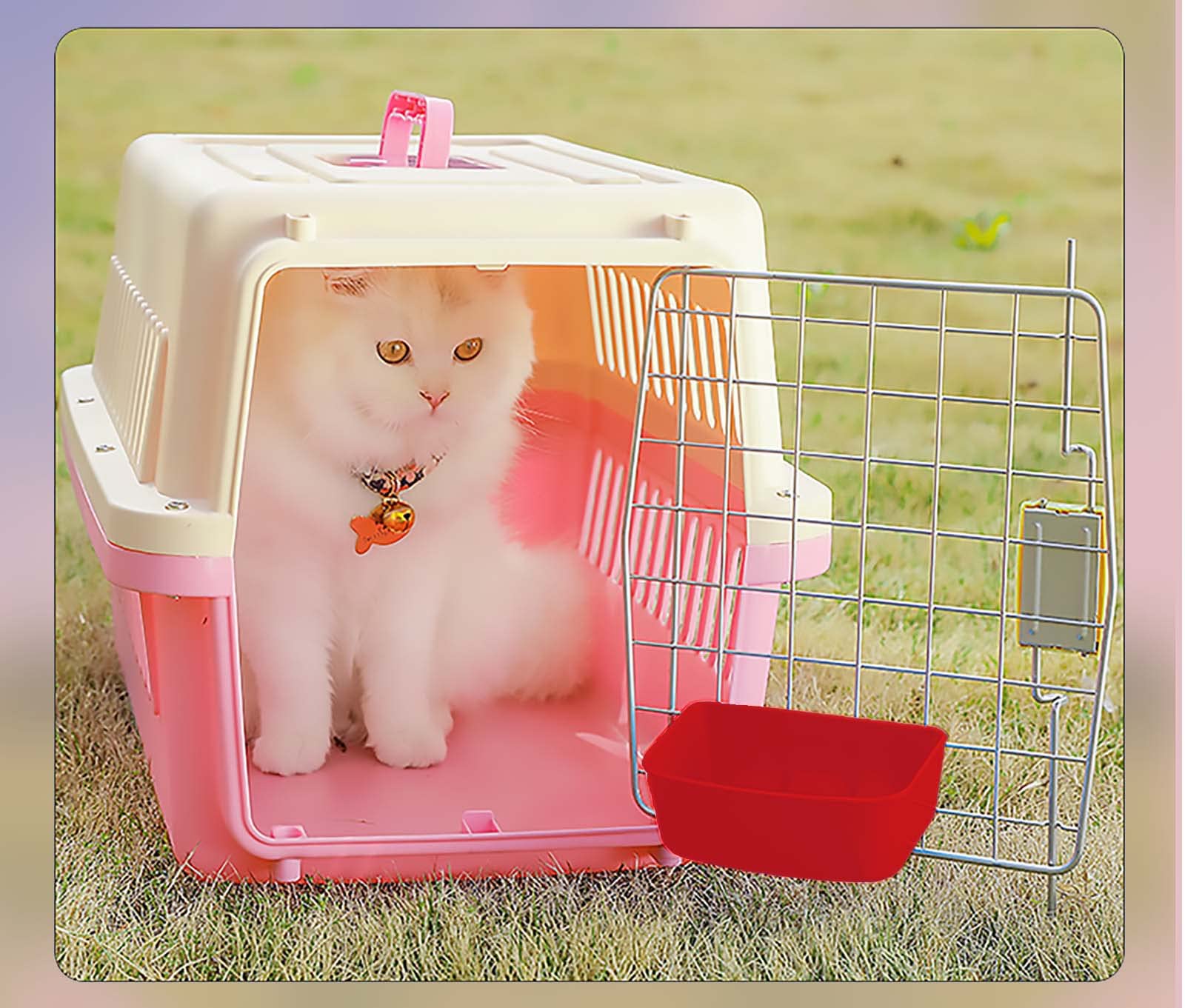 6 Pack Hanging Chicken Feeder and Waterer - 21oz Food & Water Cage Cups for Puppy, Cat, Rabbit, Pigeon, Hamster - Durable Coop Bowl & Treat Drinker for Small Pets - Perfect for Bird Bath, Feeding Station, and Outdoor Animal Care
