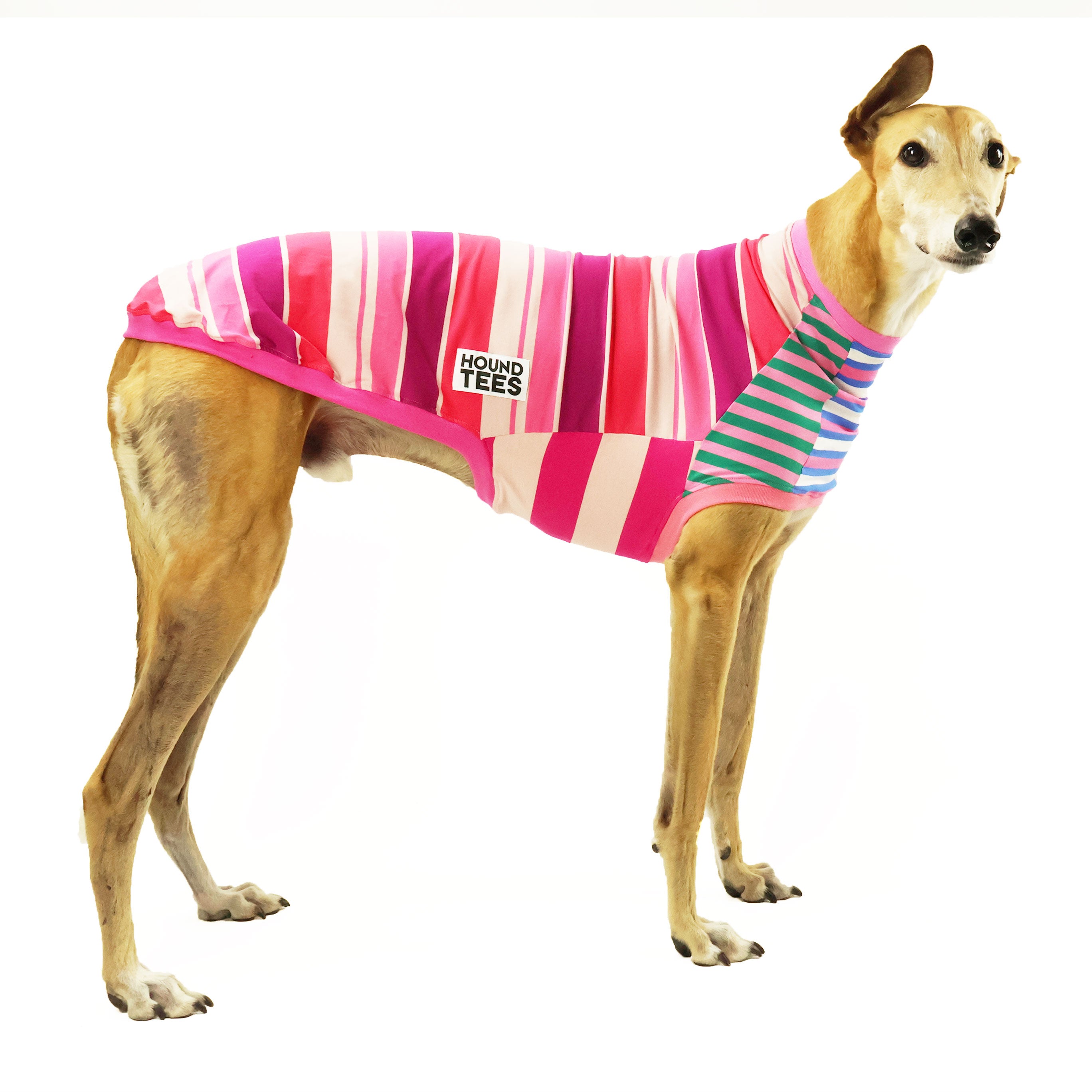 Frankie Pinkie Sleeveless Greyhound Hound T-Shirt for Women - Cute Dog Lover Graphic Tee - Casual Summer Tank Top for Dog Owners & Pet Lovers