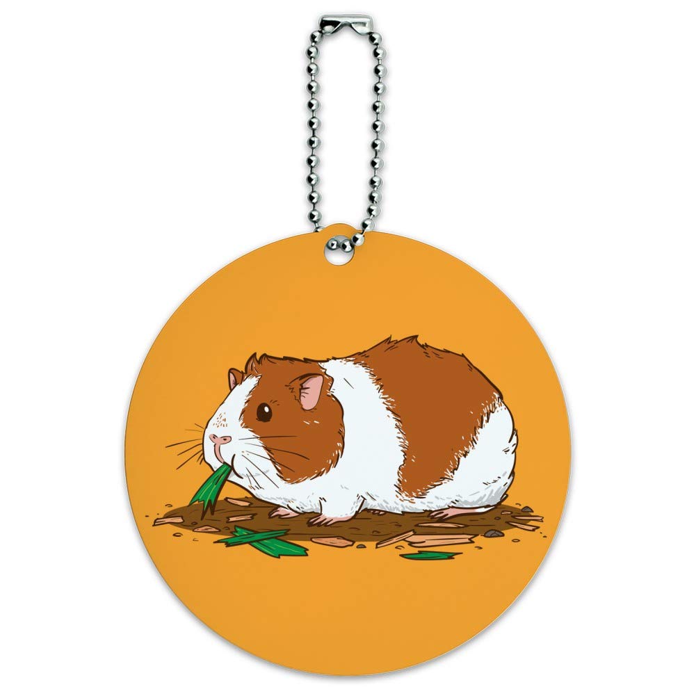 Guinea Pig Eating Round Luggage ID Tag Card - Durable Pet-Themed Suitcase Tag for Carry-On Bags - Perfect for Travel Identification & Pet Lovers