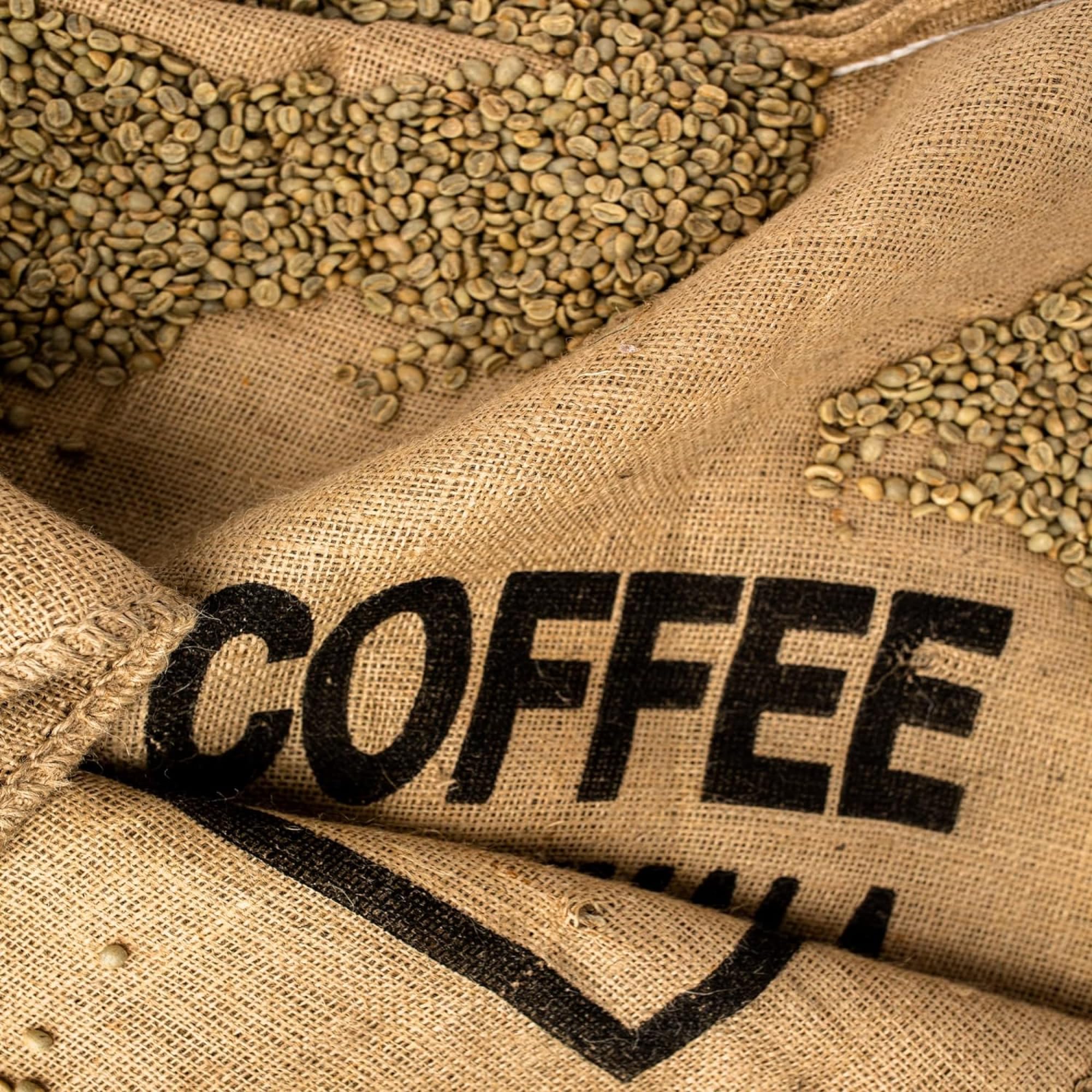 Premium Honduras SHG Unroasted Green Coffee Beans - 25 lbs Bulk - Central American Grown - Ideal for Home Roasting & Commercial Use - Perfect for Espresso, French Press & Cold Brew