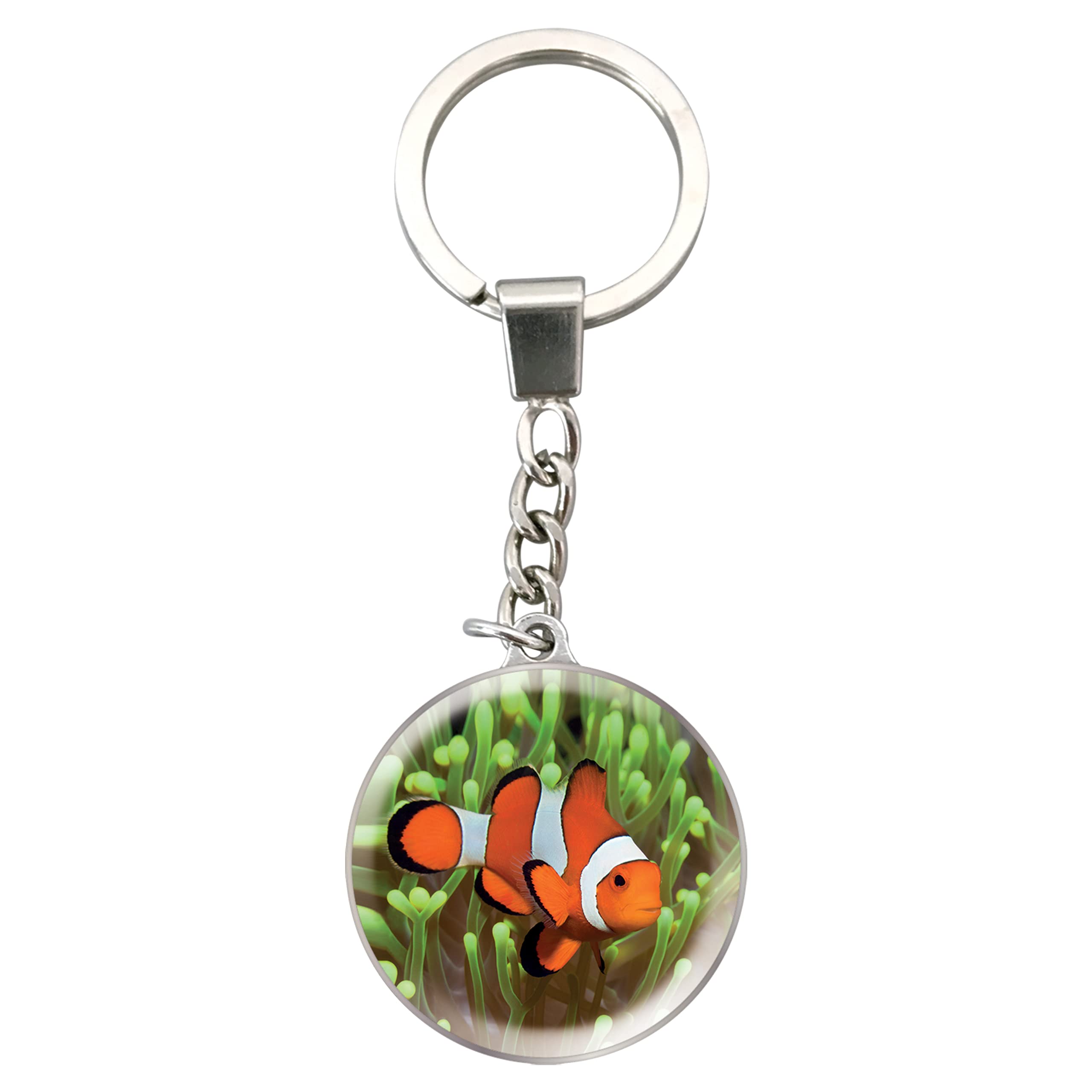 Deluxebase Magnidome Keychain - Dome Shaped Picture Key Ring with Stainless Steel Chain & Crystal Glass Dome - Perfect for Gifts, Travel Souvenirs, and Personal Keepsakes