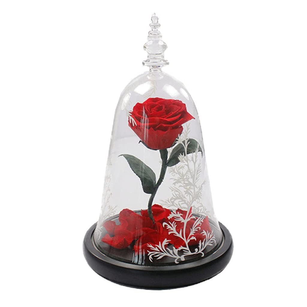 Beauty and The Beast Rose - Real Preserved Eternal Rose in Glass Dome for Christmas, Valentine's Day, Birthday, Anniversary, Mother's Day & Wedding - Perfect Romantic Gift for Her, Home Decor, Disney Inspired Floral Arrangement