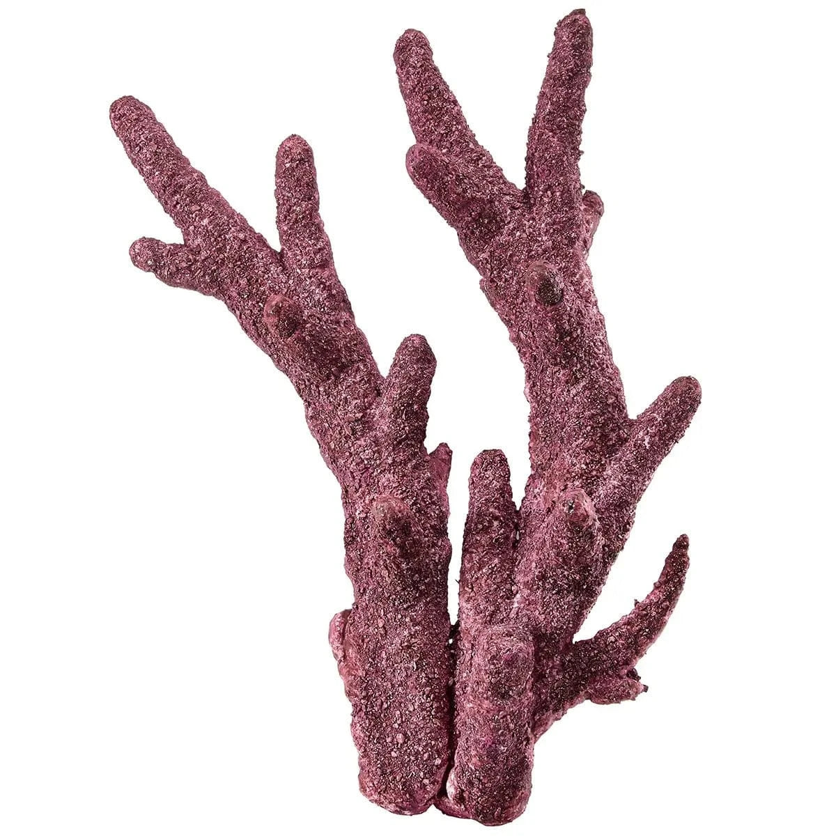 Premium Real Reef Branch Rock - 30 lbs Box for Saltwater Aquariums | Natural Coral Decor for Marine Tanks, Fish Habitats & Reef Aquascaping