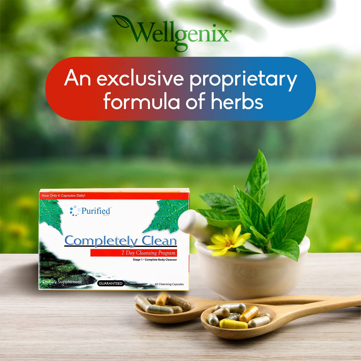 Omni Complete 7-Day Detox Cleanse Pills - Natural Body Cleansing Supplement for Toxin Removal & Waste Flush - 42 Capsules (2-Pack) - Supports Digestive Health & Liver Function for Post-Holiday Reset or Weight Management