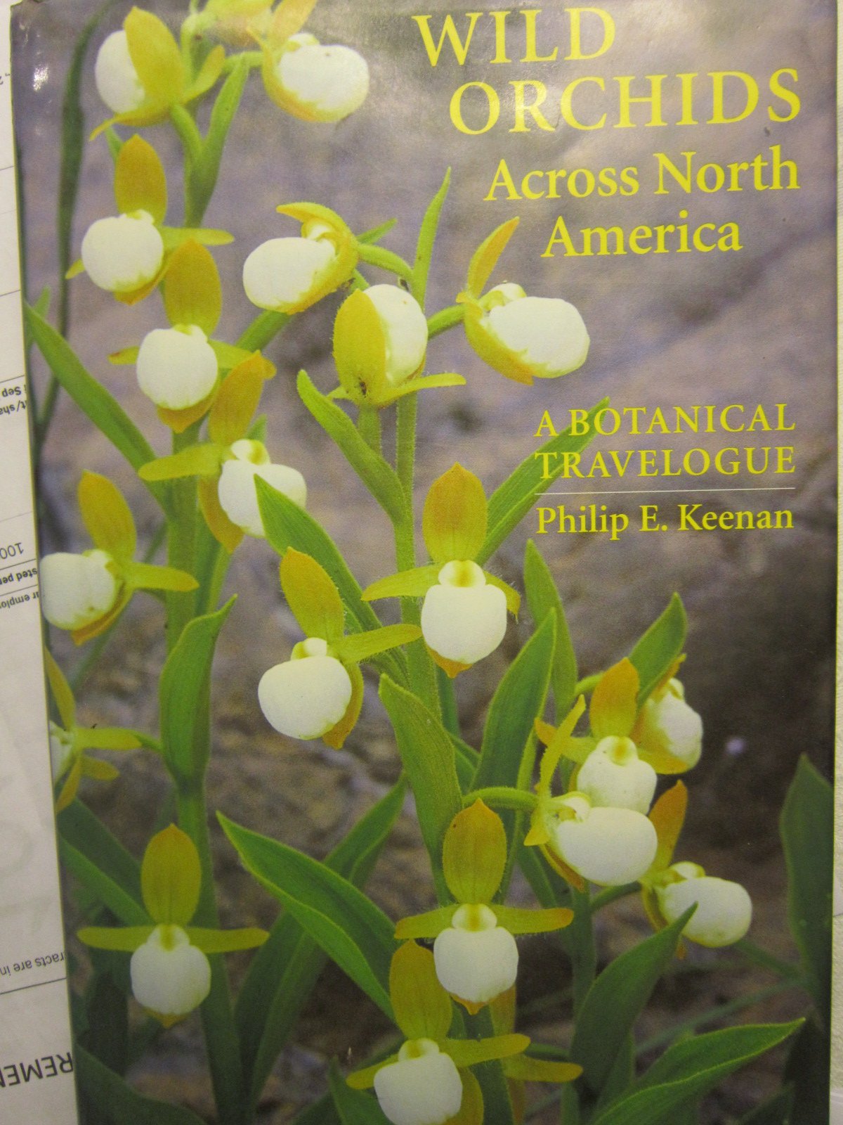 Wild Orchids Across North America: A Botanical Travel Guide - Explore Rare Orchid Species & Best Viewing Locations for Nature Lovers & Hikers