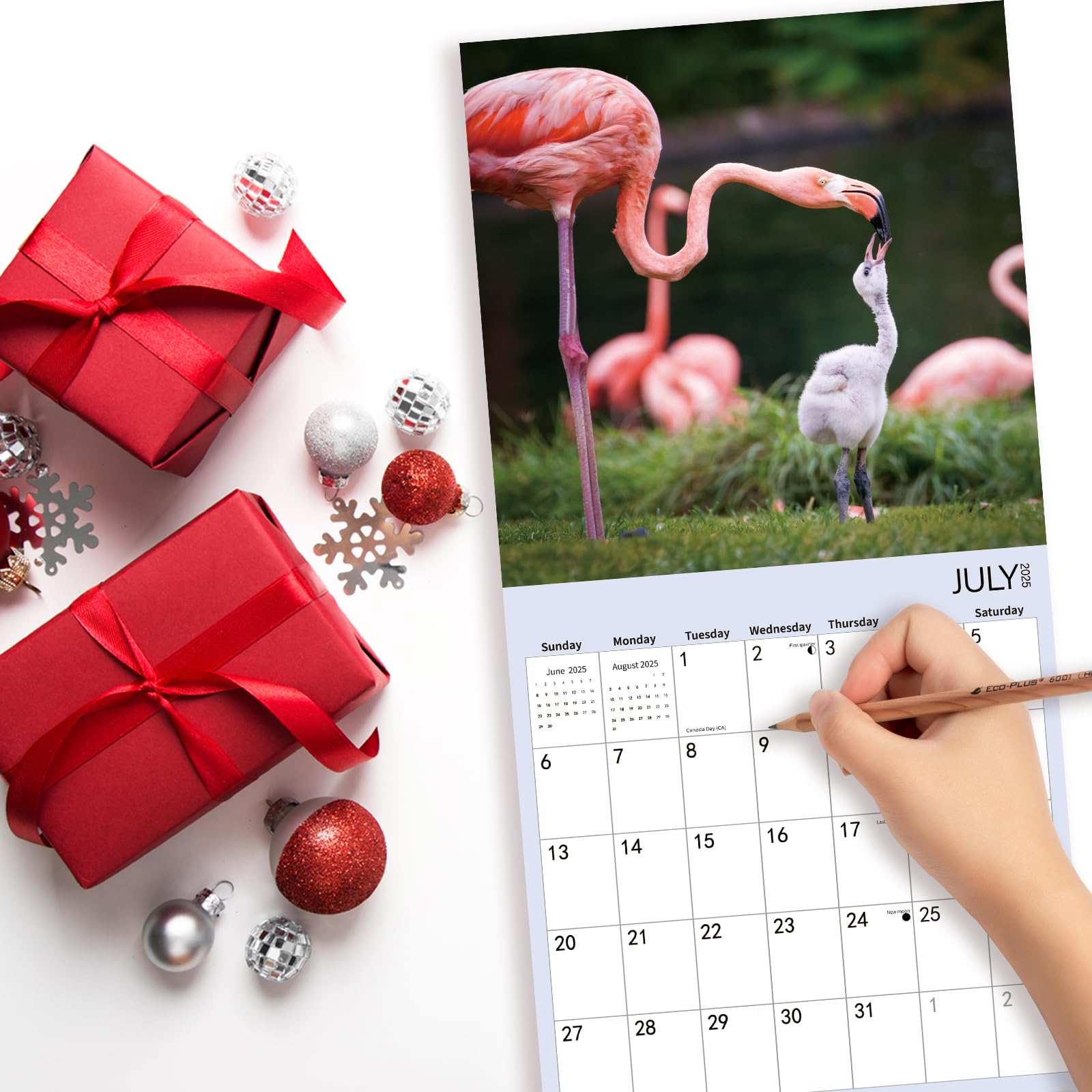 2025-2026 Baby Animals Wall Calendar - 18 Monthly Planner (12
