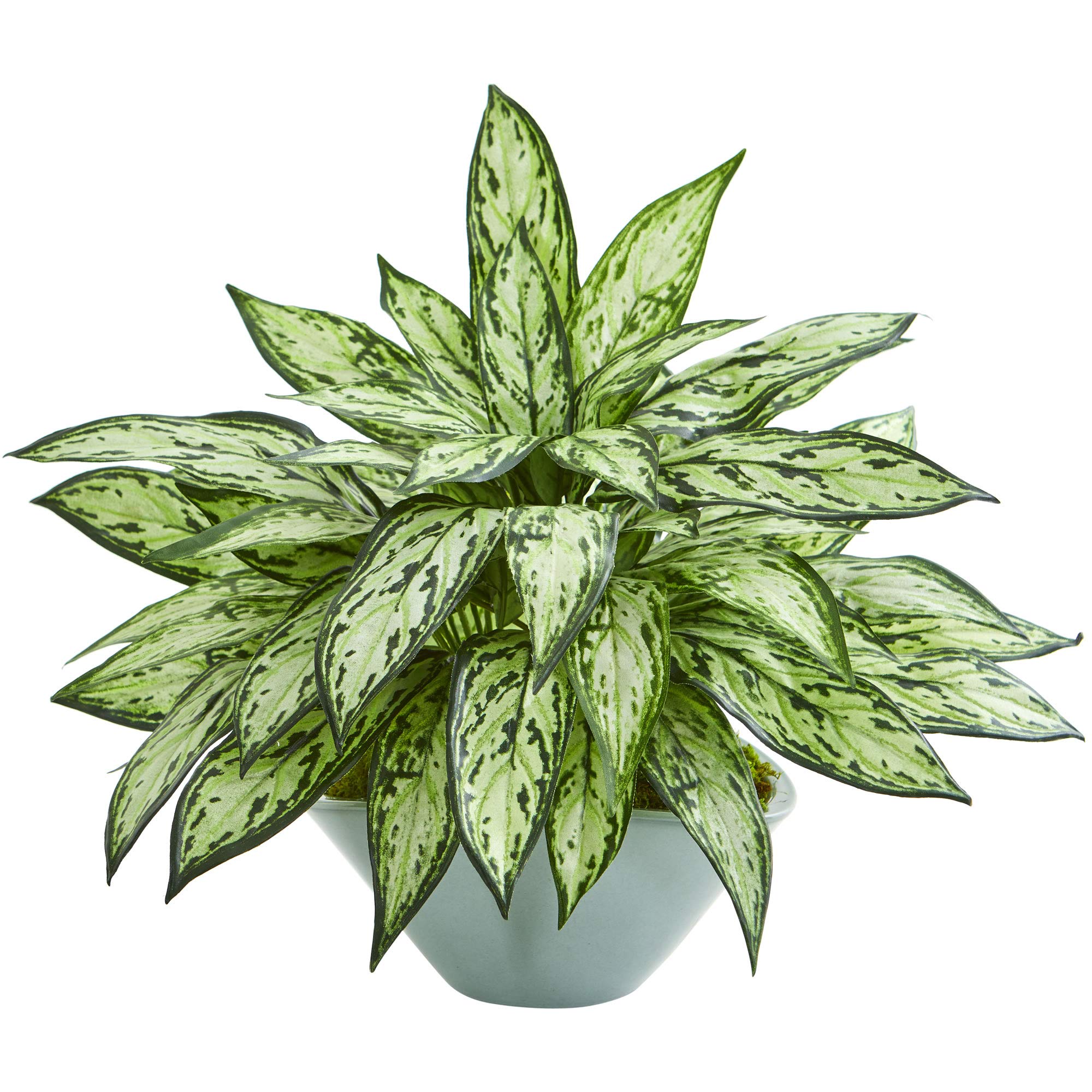 Nearly Natural Silver Queen Artificial Plant in Green Vase - Lifelike Faux Plant for Home & Office Decor - Perfect for Living Room, Bedroom, or Desk Decoration
