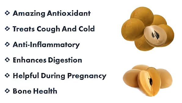 Freeze Dried Chikoo Snacks - 100% Natural, Vegan, No Preservatives or Added Sugar - Healthy Fruit Snack for Kids & Adults - Perfect for Lunchboxes, Hiking & On-the-Go (20g, Pack of 1)