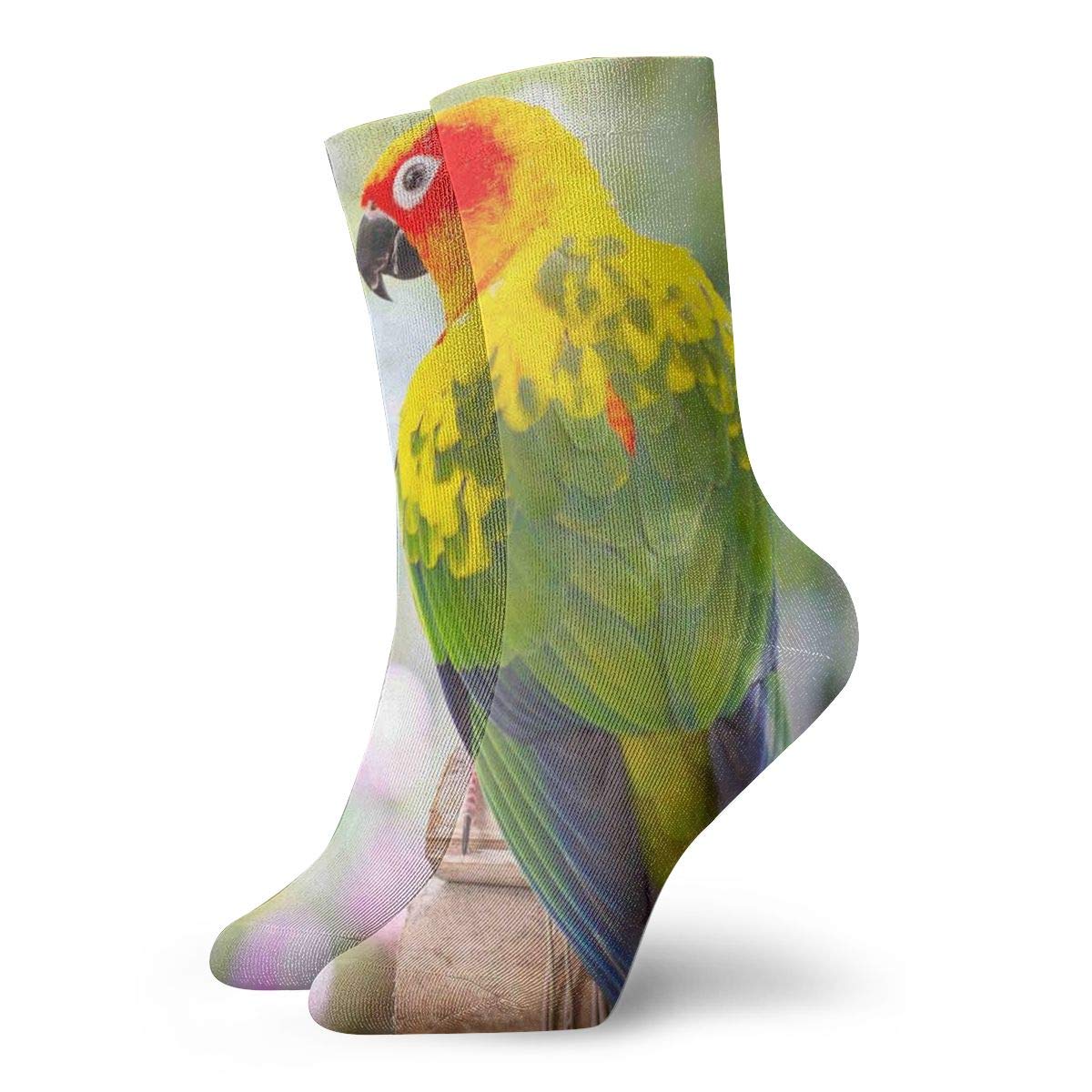 WEEDKEYCAT Sun Conure Parrot Socks for Men & Women - Yoga, Running, Sports