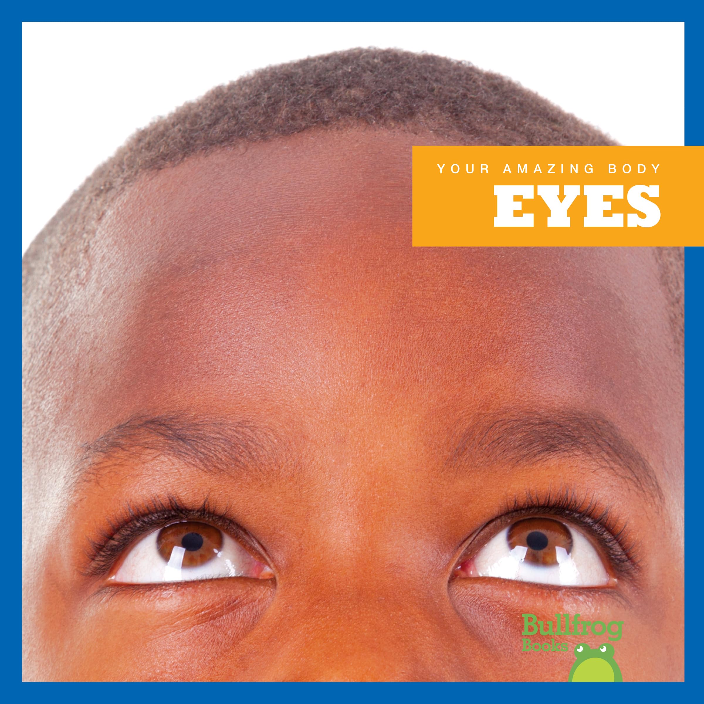 Bullfrog Books: Your Amazing Body - Eyes | Educational Kids Book About Human Anatomy & Vision | Perfect for Classroom Learning & Homeschooling