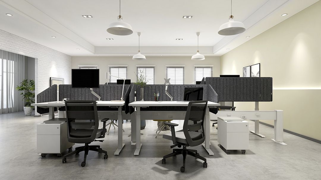Friant Vektor FD00251 Ergonomic Mesh Task Chair - Adjustable Height & Lumbar Support for Office, Home, and Gaming Use