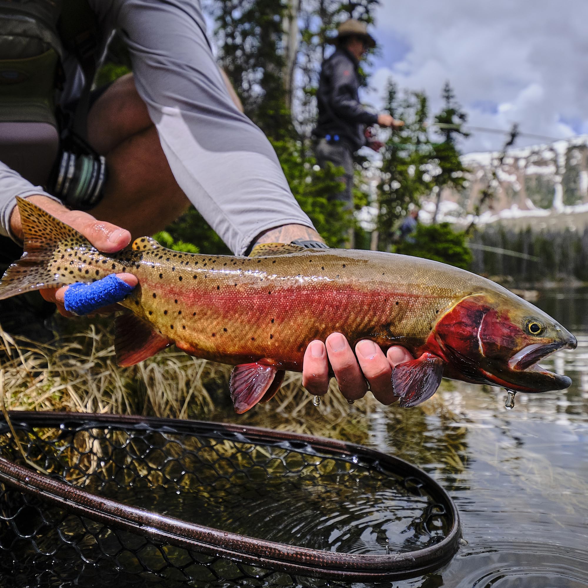 Little Rainbow Trout Streamer Fly Lures - 3-Pack Small Streamers for Trout, Grayling & Bass Fishing - Premium Fly Fishing Flies for Freshwater Anglers - Perfect for Mountain Streams and River Fishing Adventures