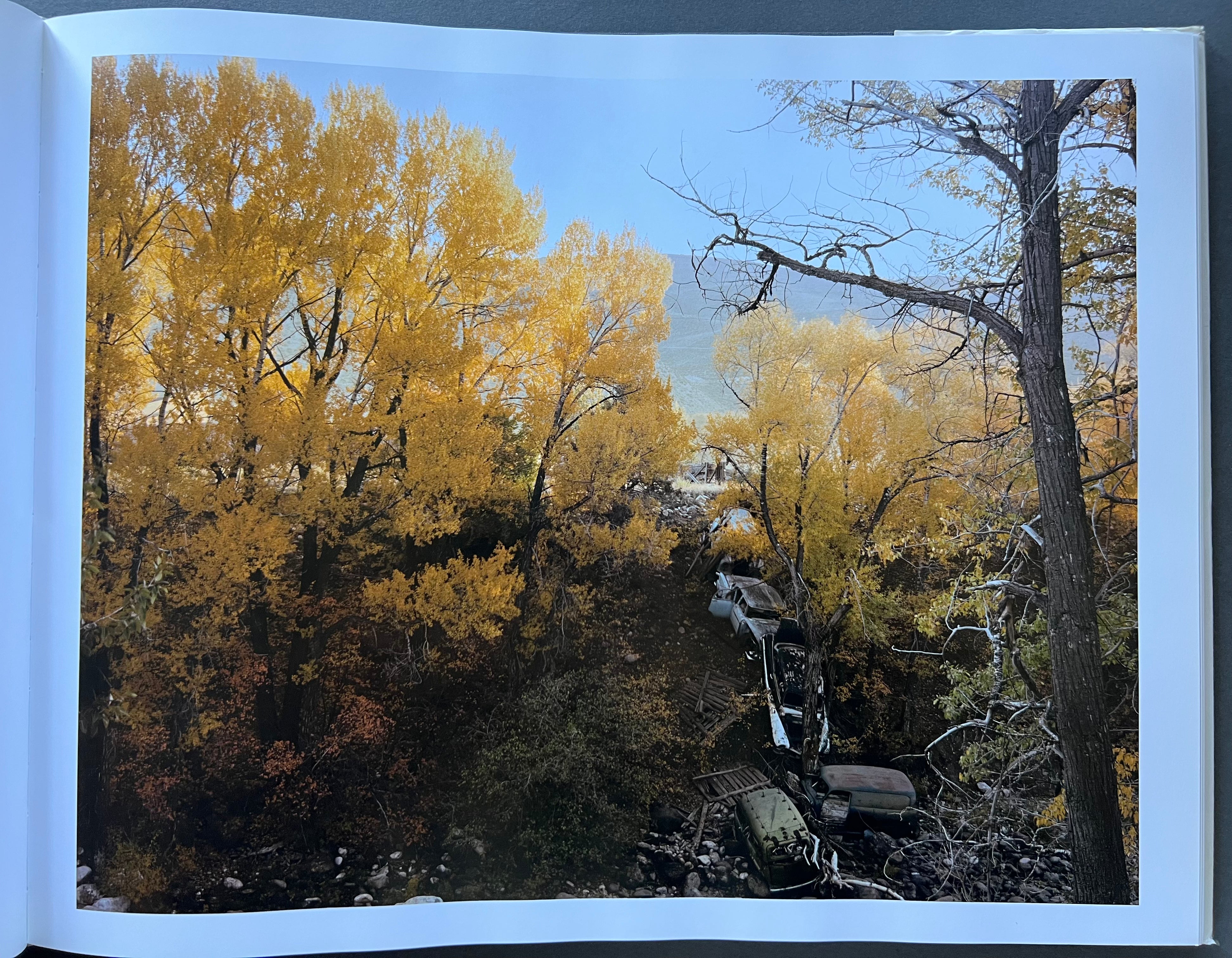 Joel Sternfeld: American Prospects - Photography Book of American Landscapes & Urban Scenes - Perfect for Art Lovers, Photographers & History Enthusiasts
