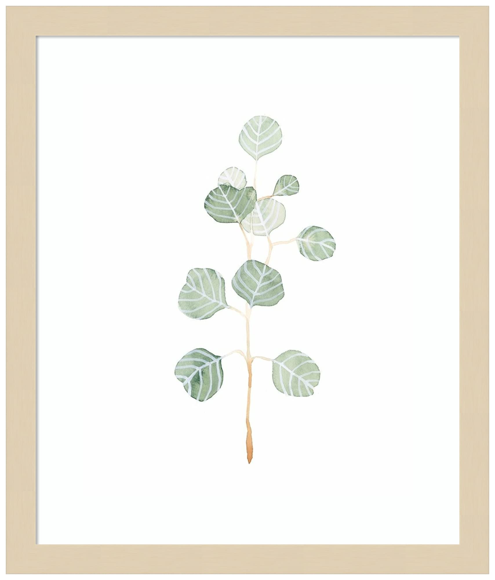 Emma Scarvey Soft Eucalyptus Branch II Wood Framed Wall Art Print - 15x17 Inches, Natural Svelte Frame - Botanical Home Decor for Living Room, Bedroom & Office