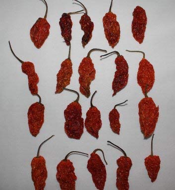 Ghost Pepper Hot Sauce - 7 Whole Ghost Peppers, Extra Hot & Spicy - Perfect for Wings, Tacos, Burgers & Cooking
