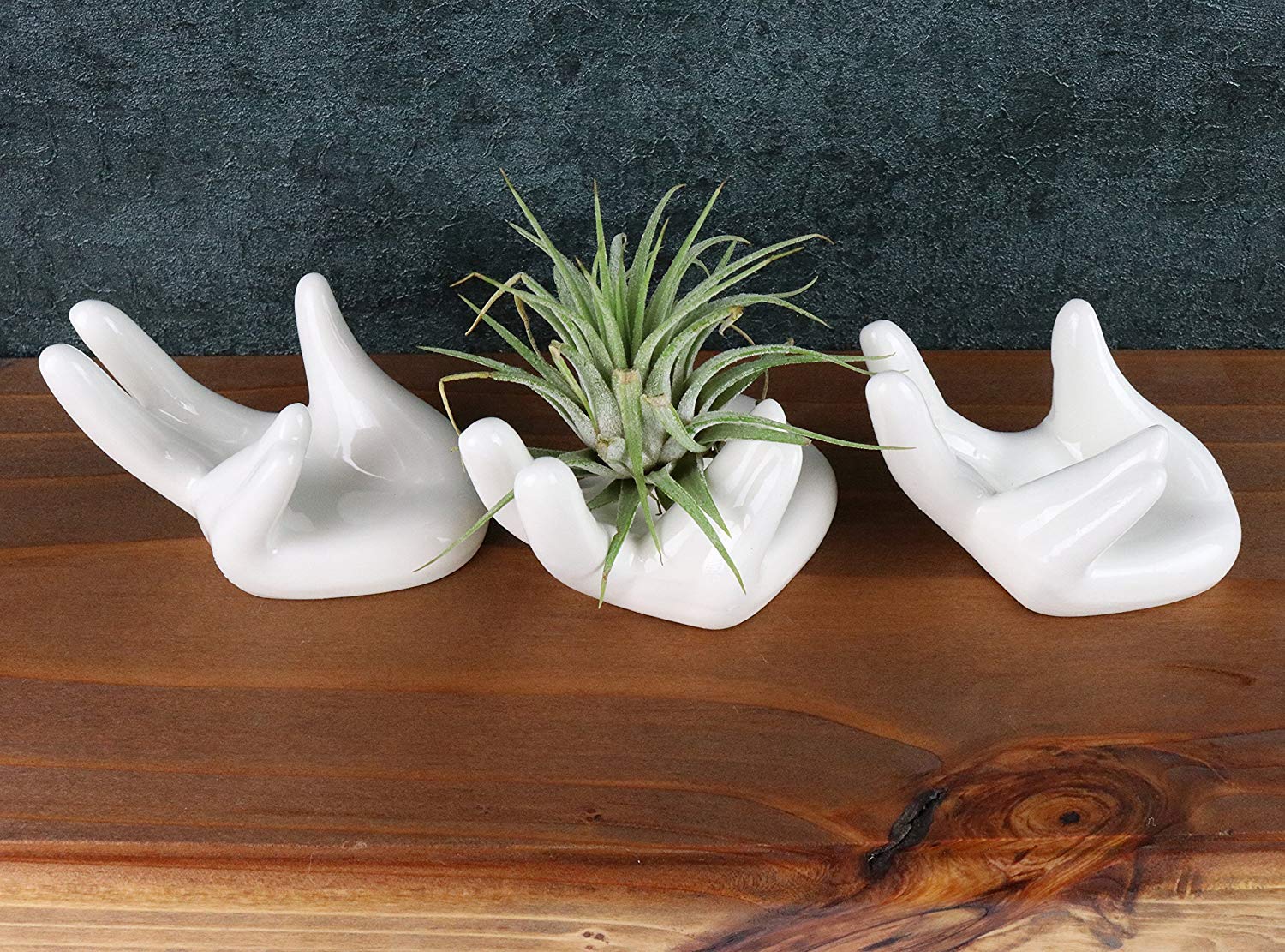 3 Pack Small Ceramic Air Plant Pots - Tillandsia Holder & Decorative Planters for Home, Office, or Wedding Decor - Perfect for Tabletop, Shelf, and Wall Display