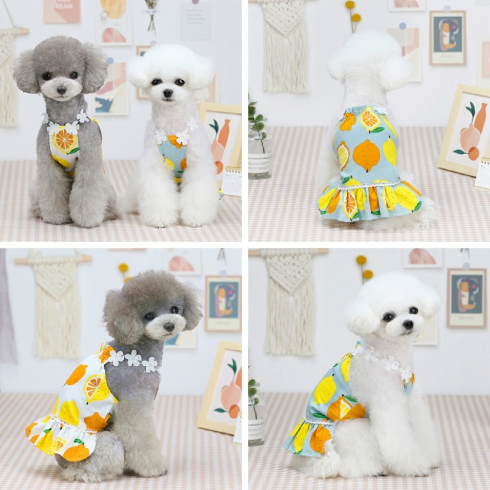 Breathable Sleeveless Lemon Print Dog Dress for Small Dogs - Summer Pet Clothes Puppy Costume for Outdoor Walks & Playtime