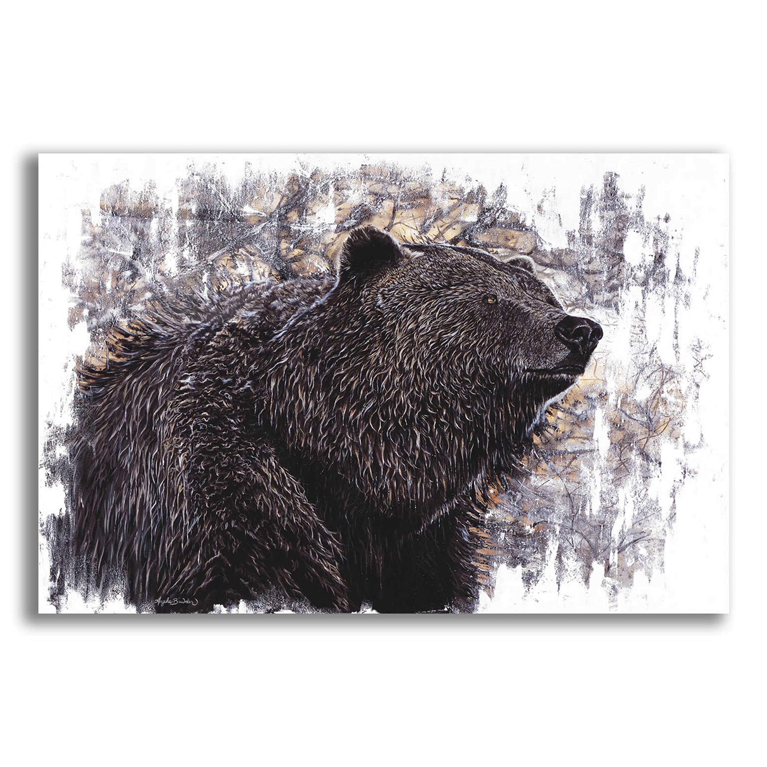 Epic Art 'Big Griz' by Angela Bawden - Vibrant Acrylic Glass Wall Art 24x16 Inches - Perfect for Living Room, Bedroom & Office Decor
